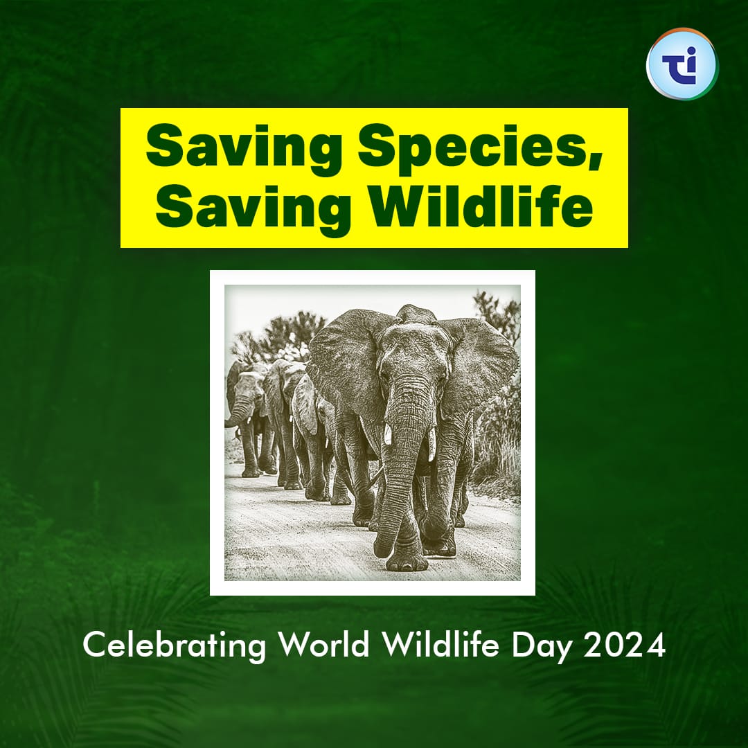 Celebrating World Wildlife Day: Preserving Nature's Treasures